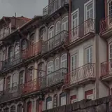 Sinop Saraydüzü Ozel Ilanlar