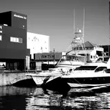 Sinop Saraydüzü VIP Escort Ilanlari