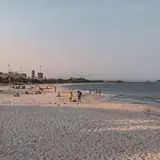 Tekirdağ Saray Merkez Ilanlar