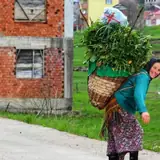 Trabzon Dernekpazarı Elden Alan Escort Profilleri