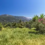 Trabzon Escort Profilinde Nelere Bakilmali
