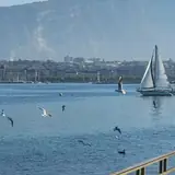 Tunceli Pertek Escort