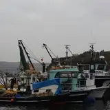 Uşak Merkez Escort Secerken Acele Karar Vermemek Neden Onemli