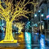 Van Saray Escort Ilanlarindaki Dogrulanmis Rozeti Ne Demek