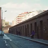 Zonguldak Alaplı VIP Bayan Ilanlari