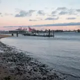 Zonguldak Alaplı Olgun Bayan