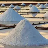 Zonguldak Ereğli Escorta Gitmek Yasak Mi