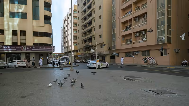 Adana Çukurova Merkez Bayan