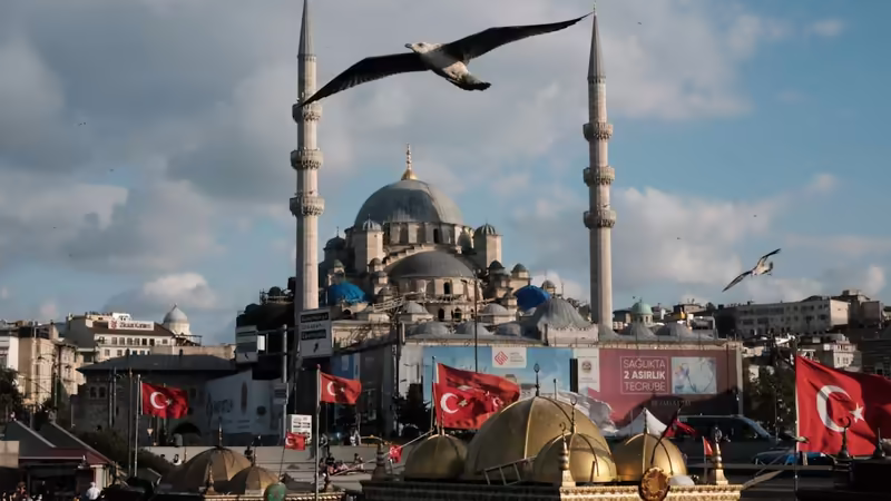 Adana Çukurova Universiteli Escort