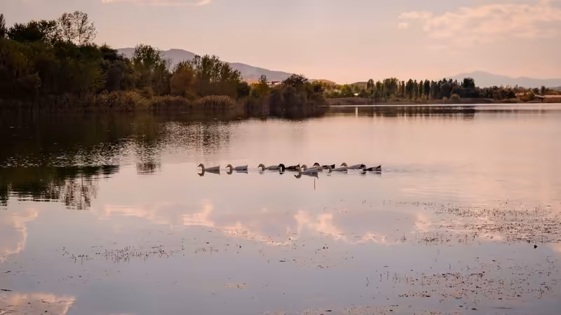 Adıyaman Gölbaşı Olgun Eskort
