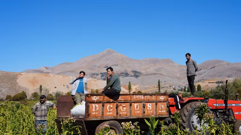 Adıyaman Sincik Yakindaki Eskort