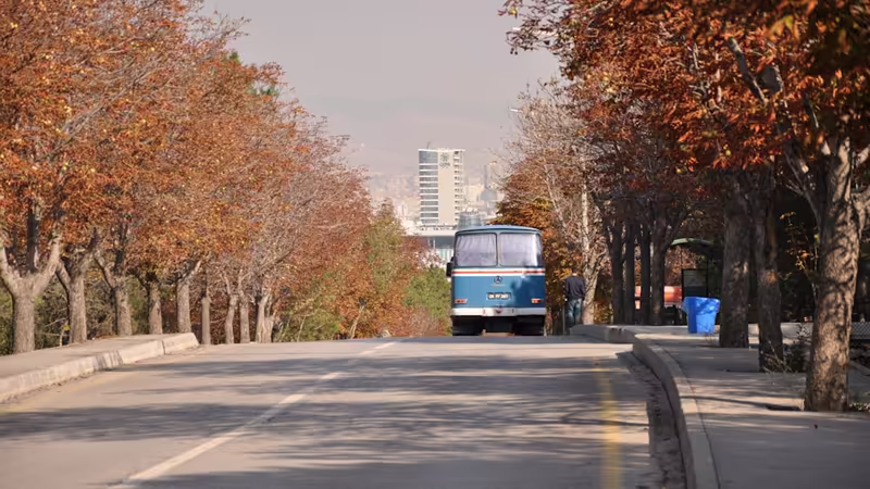 Ağrı Merkez'da Evcil Hayvanla Ev Kiralama Zorlukları ve Çözüm Yolları