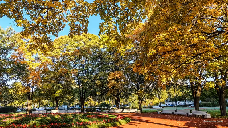 Ağrı Merkez Universiteli Escort