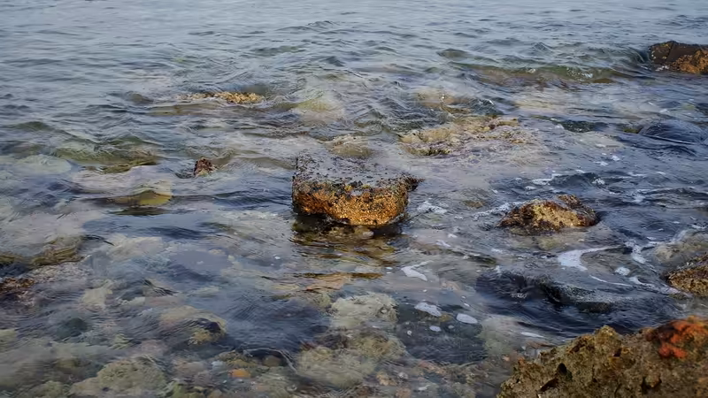 Aksaray Merkez Ulasimi Kolay Bolgeler