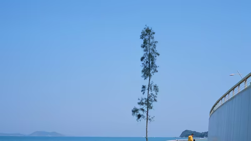 Aksaray Ortaköy Premium Escort