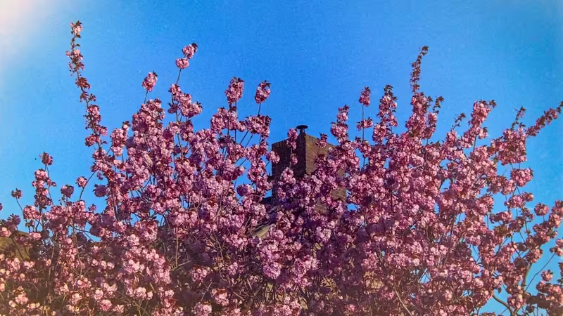 Aksaray Ortaköy'da Çalışmak İçin En Sessiz Kütüphane ve Kafeler