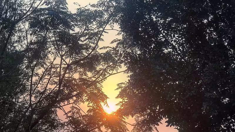 Altınözü'da Yabancıların Gayrimenkul Satın Alma Prosedürleri - Hatay