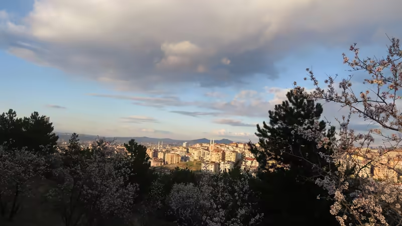 Ankara Gölbaşı Merkez Escort