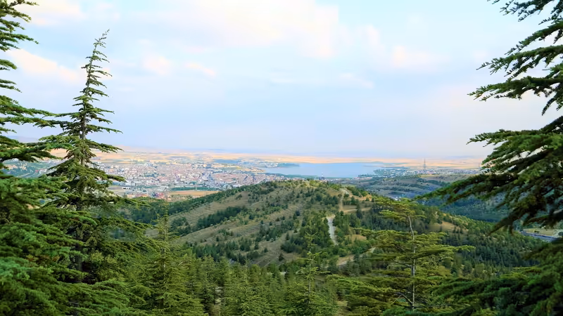 Ankara Mamak Aktif Bayan Ilanlari