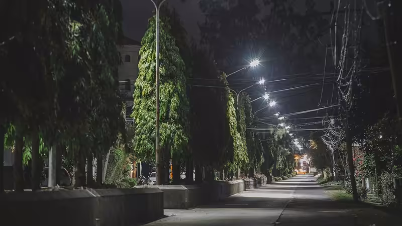 Antalya Demre Olgun Bayan