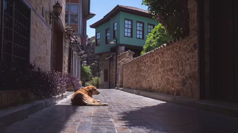 Antalya Eskort Ilanlari