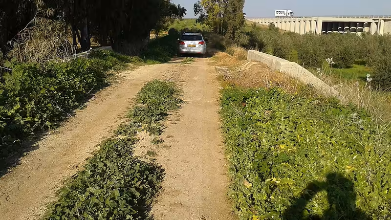 Antalya Muratpaşa'daki En İyi Üniversiteler ve Kampüs Olanakları