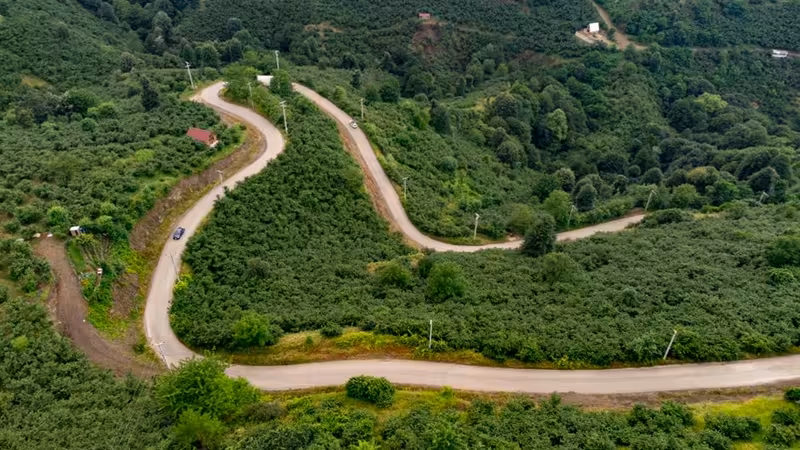 Ardahan Çıldır'da En İyi Yerel Dil Okulları ve Kurs Merkezleri