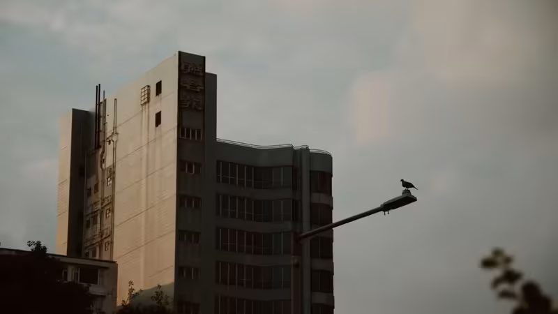 Ardahan Eskort Bayan Ilanlari