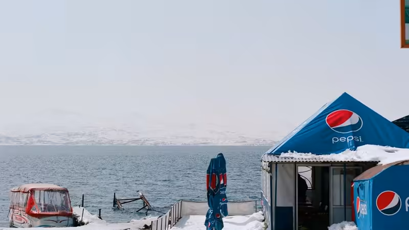 Ardahan Posof Sevecen Escort Bayanlar