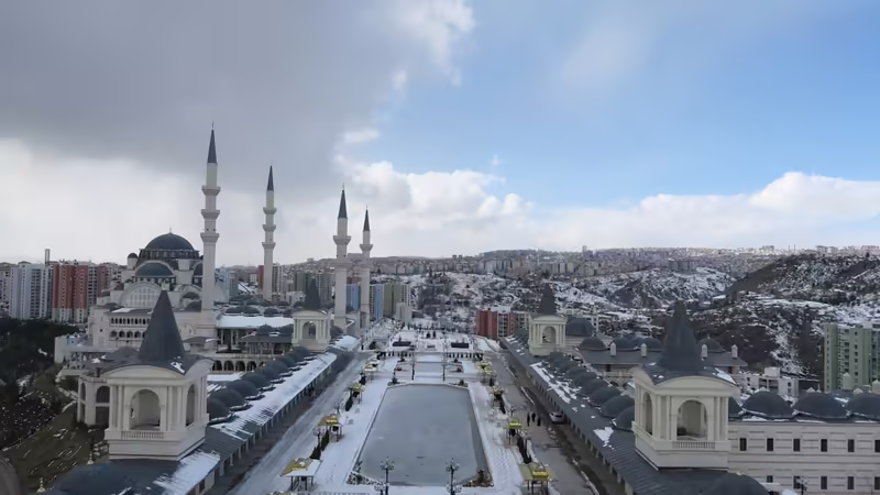 Ardahan Ingilizce Konusan Escort