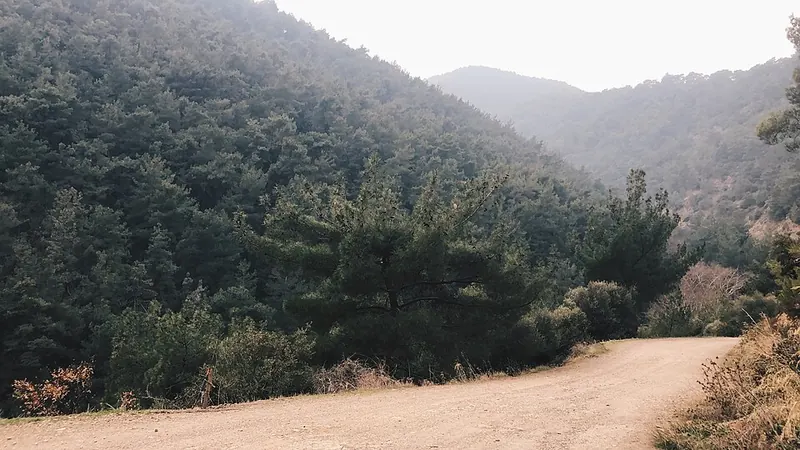 Arsuz'da Gece Hayatı Hangi Bölgelerde Yoğun - Hatay