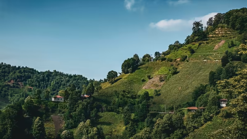 Artvin Ardanuç Merkez Lokasyonlu Escort