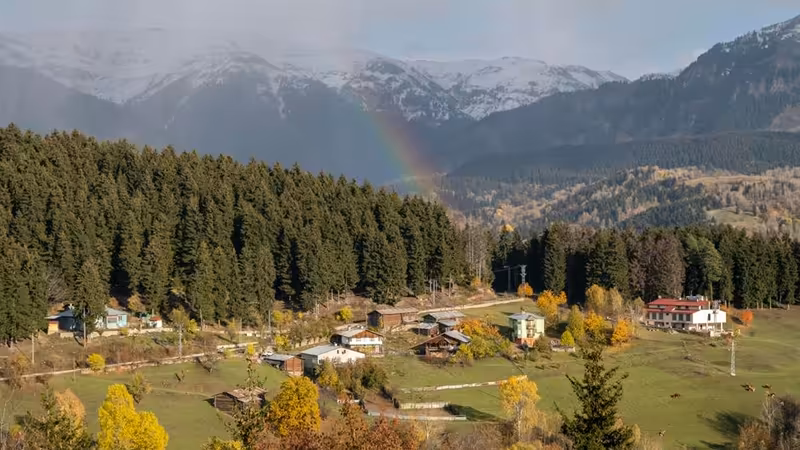 Artvin Arhavi Ozel Bayan Ilanlari