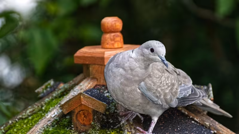 Artvin Arhavi'da Güncel Süpermarket Fiyatları ve Gıda Sepeti Maliyeti