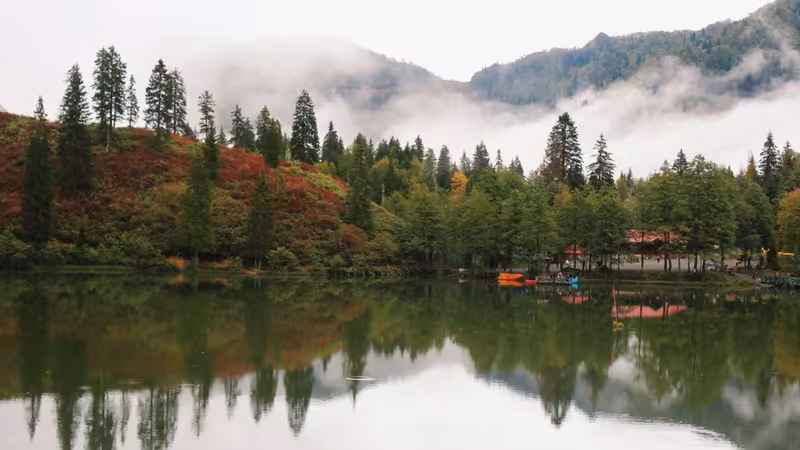 Artvin Borçka Otel Yakini Escort