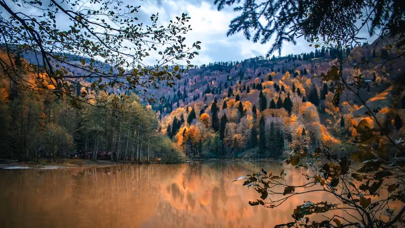Artvin Borçka Eskort Bayan Profilleri