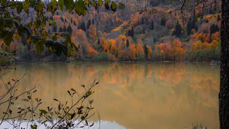 Artvin Borçka Bayan Ilanlari