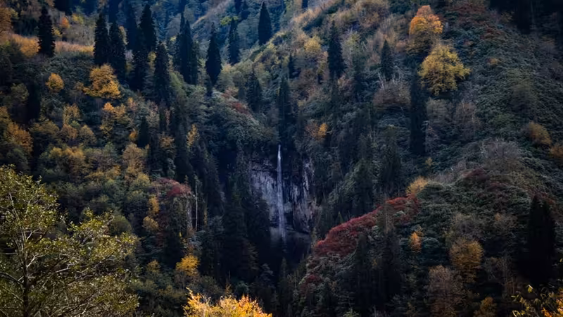 Artvin Borçka Kisa Sureli Escort