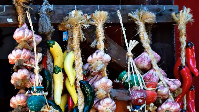 Artvin Yakindaki Bayan Ilanlari