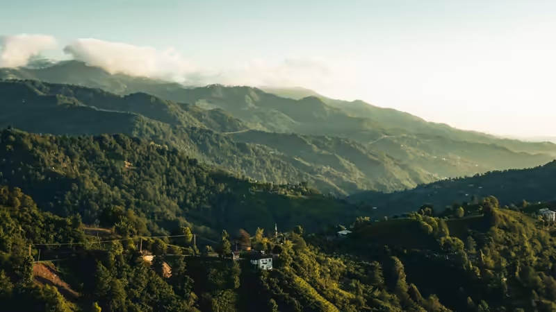 Artvin Merkez Hafta Sonu Musait Escort