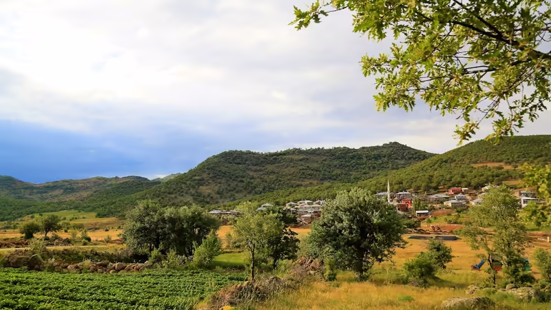 Artvin Merkez'da Çocuklar İçin Atölyeler, Kültür ve Bilim Merkezleri
