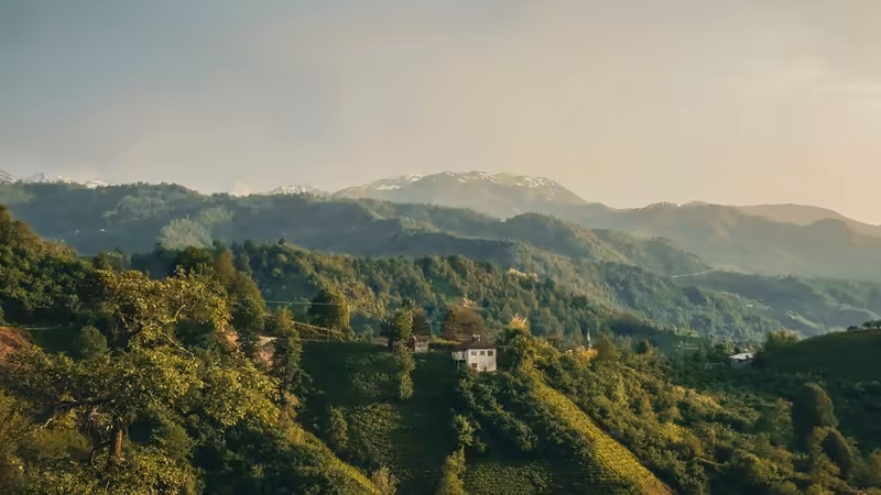 Artvin Eskort Ilan Sitesi