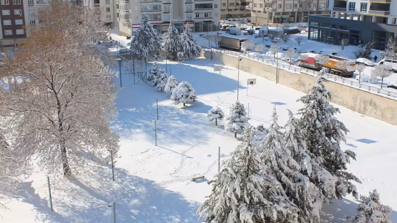 Artvin Murgul'da En Lüks ve Ödüllü Restoranlar Rehberi