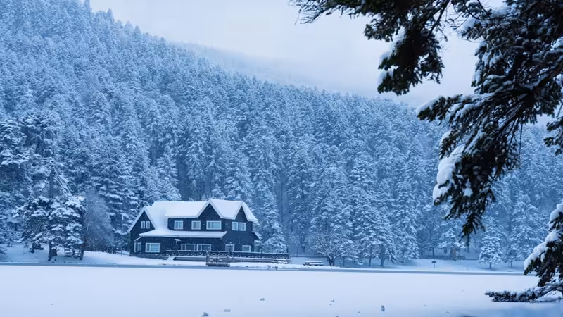 Artvin Şavşat'da En Lüks ve Ödüllü Restoranlar Rehberi