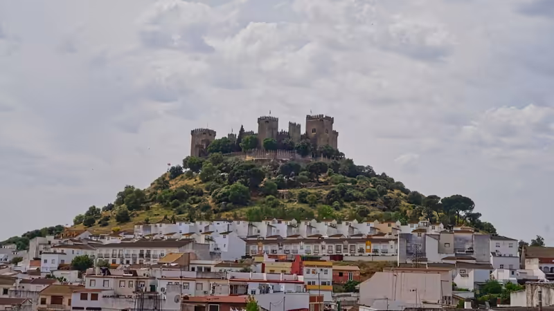 Artvin 7/24 Escort