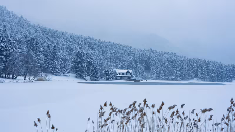 Artvin Yusufeli'da Evcil Hayvan Dostu Oteller ve Konaklama Kuralları