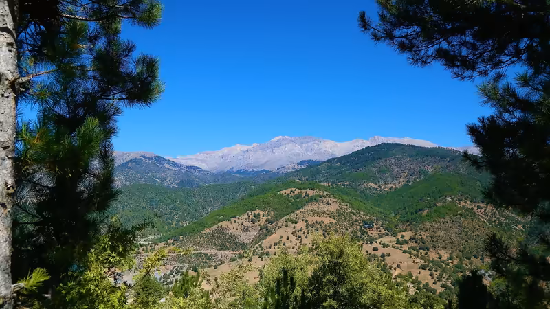 Artvin Yusufeli'da Sağlık Hizmetleri Maliyetleri ve Sigorta