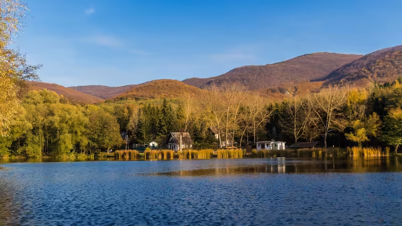 Artvin Yusufeli Saatlik Escort Fiyatlari