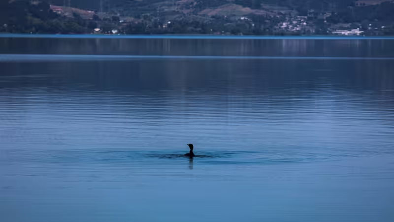 Aydın Bozdoğan'da Yılbaşı, Yeni Yıl ve Resmi Tatil Kutlamaları Nasıl Yaşanır