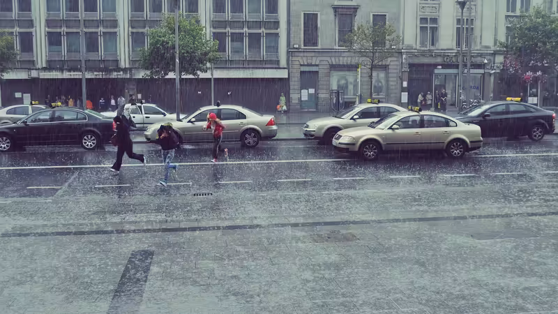 Aydın Buharkent Bayan Bul
